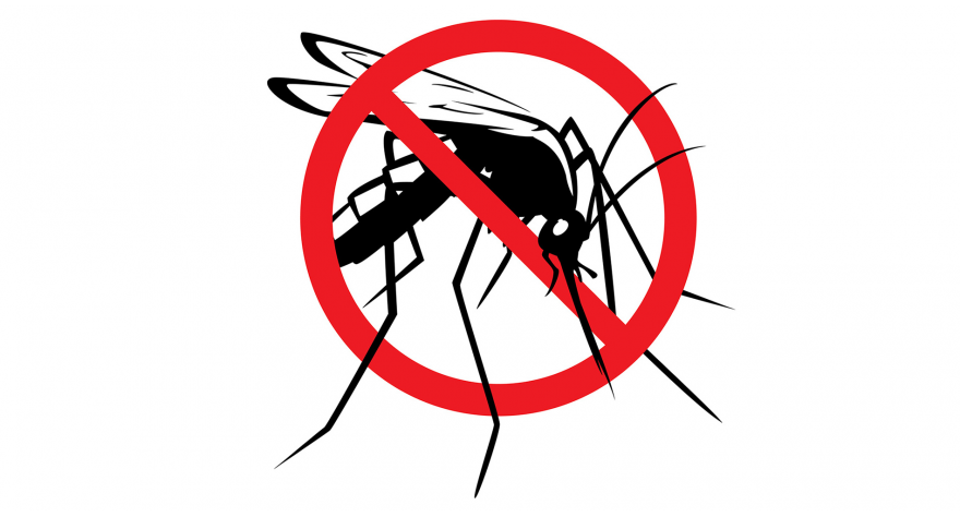 Nastavlja se zaprašivanje komaraca u 7 naselja