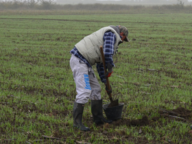 Besplatna analiza zemljišta za registrovana gazdinstva