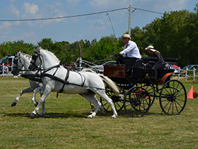 Milan Đurđević dvostruki pobednik IV pećinačke Fijakerijade