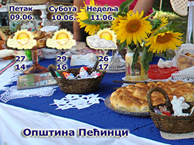 U opštini Pećinci palo od 11 do 20 litara kiše