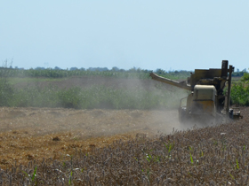 Zabranjeno spaljivanje žetvenih ostataka