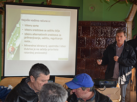 Idealno vreme za prihranu pšenice