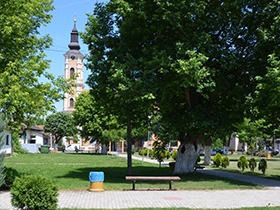 Bogat sportski i kulturno-umetnički program za šimanovačku slavu