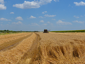 Razvojni fond nastavlja povoljno kreditiranje privrede i poljoprivrede