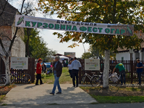 „Kurzovina fest“ u punom jeku