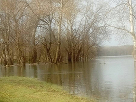 Sava danas na 428 cm