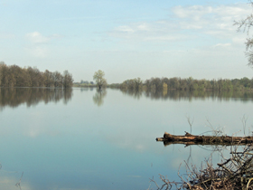 Sava još uvek ne ugrožava Kupinovo