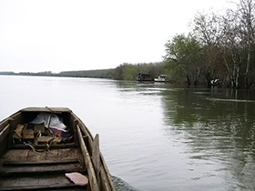 Sava nastavlja da se povlači