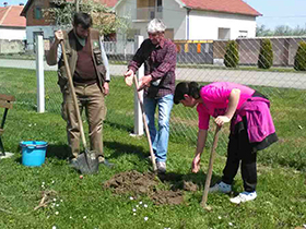 50 lipa za lepši Ogar