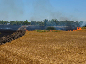 Zabranjeno spaljivanje žetvenih ostataka