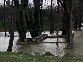 Sava ne ugrožava Kupinovo
