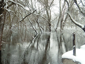 Sava u porastu 20 cm za poslednja 24 časa
