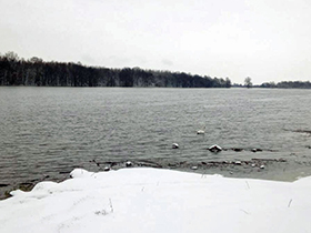 Sava u porastu 12 cm