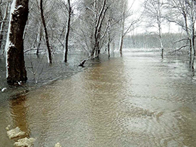 Sava u porastu za 5 cm
