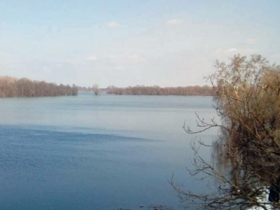 Sava počela da se povlači