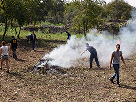 Uz dobro raspoloženje i marljiv rad, efekti sve vidljiviji