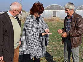 Suša zadaje muke ratarima