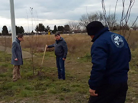 Šimanovci zeleniji za 114 stabala
