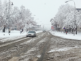 Putari se cele noći borili sa snegom