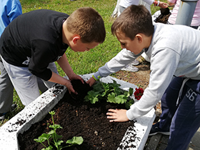 Mali ekolozi u akciji