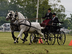 Fijakerijada otvorila Dane opštine