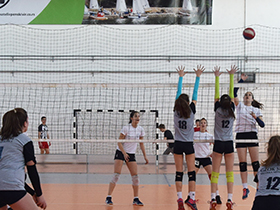 Praznik odbojke u Sportskoj hali