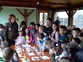 Eko nedelja u Diogenu