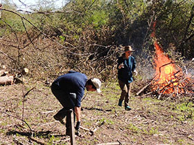 Volonteri iz 10 zemalja čiste Obedsku baru