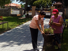 Cvetno šarenilo krasi centar Ogara