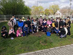 Za zelenije školsko dvorište