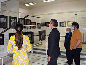 Srem – ožiljak i lek (Video)