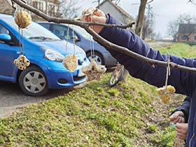 U susret proleću i lastama