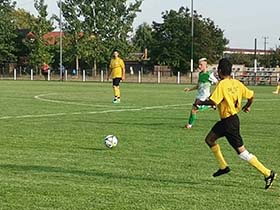 Šumar nastavlja sa pobedama