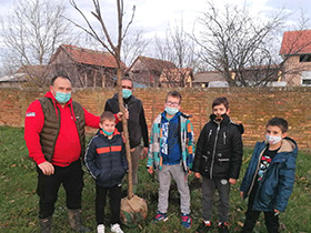 Oaza zelenila oko dečjeg igrališta