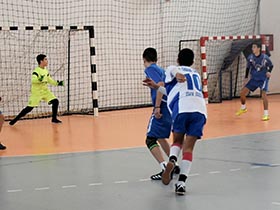 Šampioni iz Stare i Nove Pazove