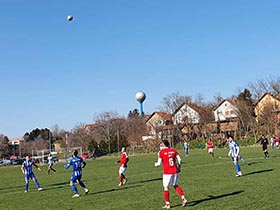 Сремац без бодова у Инђији