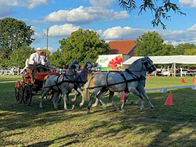 Фијакеријада окупила 50 учесника