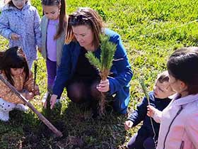 150 садница црног бора као залог за будућност