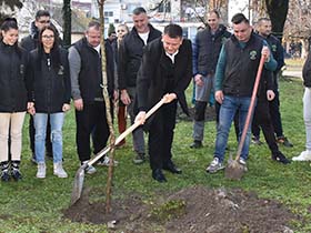 400 нових садница за зеленију општину Пећинци