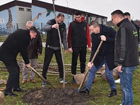 Свако засађено дрво допринос чистијој и зеленијој општини