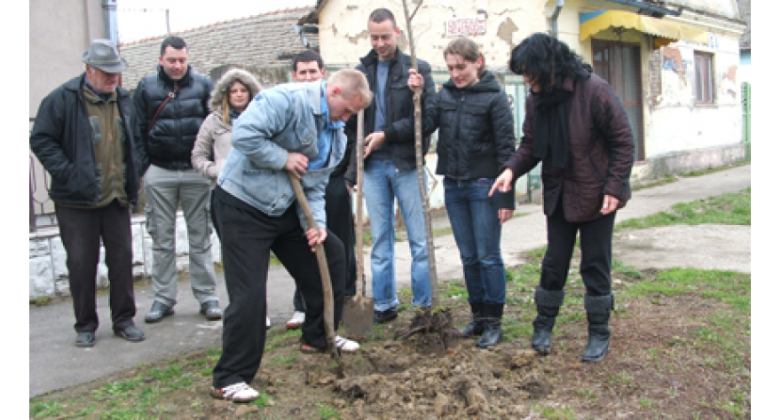 Ozelenjavanje Šimanovaca