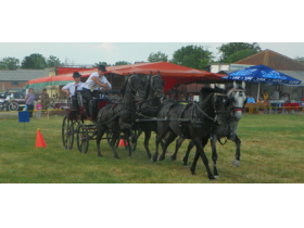 Pećinačka Fijakerijada