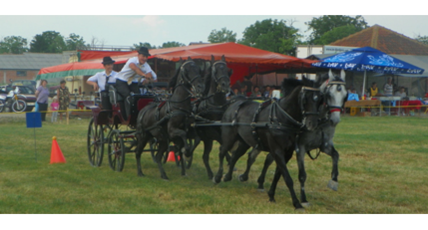 Pećinačka Fijakerijada