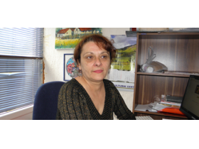 Sunce je naše i tačka