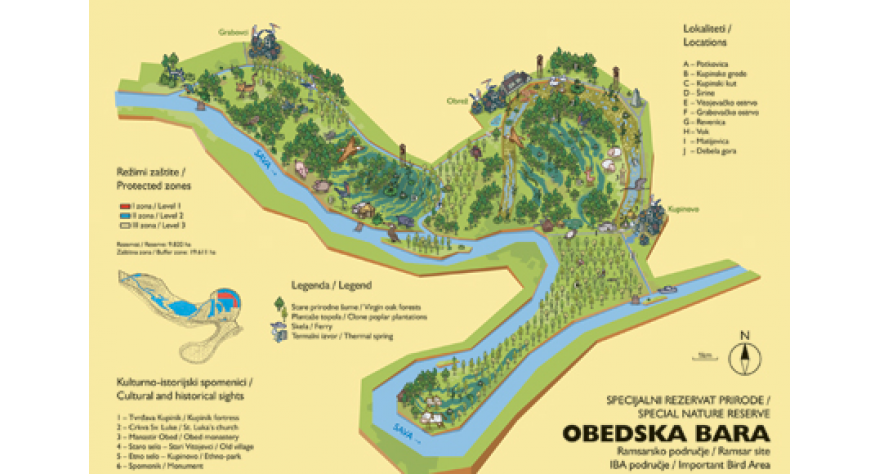 Regata Majke Angeline