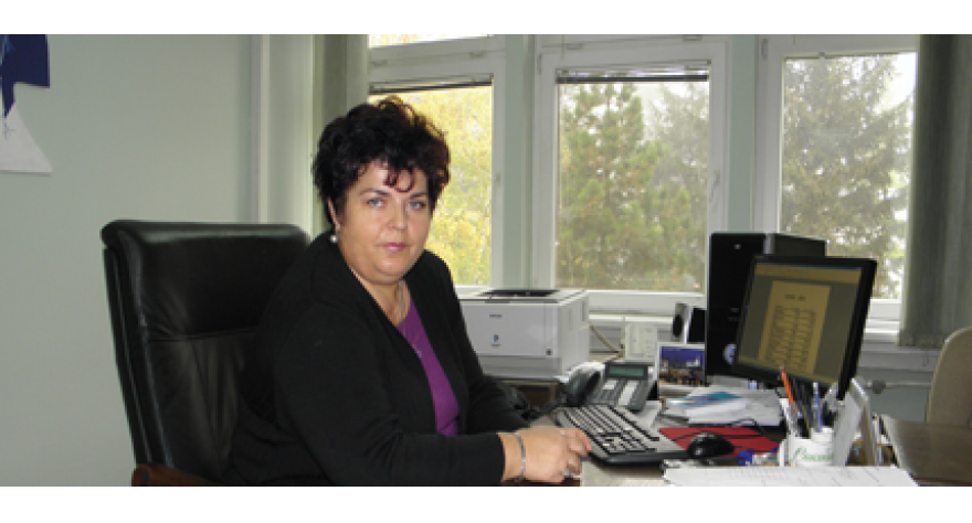 Manje ljudi, više kuća