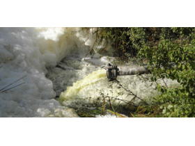 Pomor ribe u Galovcu