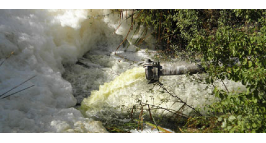 Pomor ribe u Galovcu