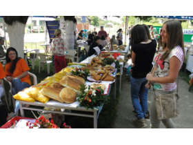 Održana jubilarna "Gibanicijada Ašanja 2013"