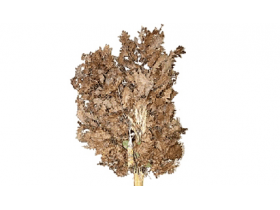 MIR BOŽJI, HRISTOS SE RODI!